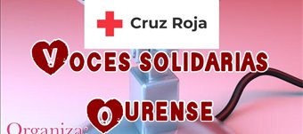 GALA VOCES SOLIDARIS DE OURENSE