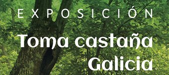 Toma castaña. Galicia